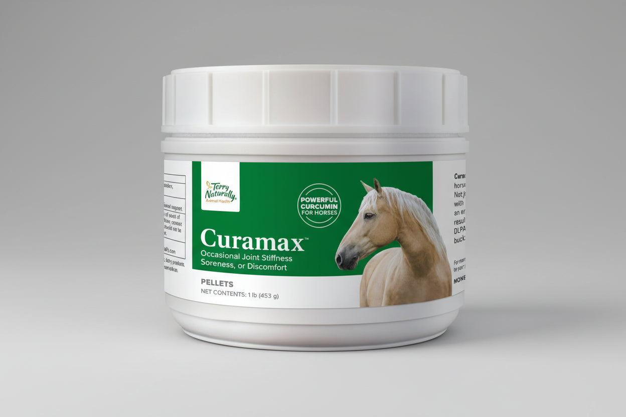 Jar of Curamax for horses with a green label and horse image on a white background