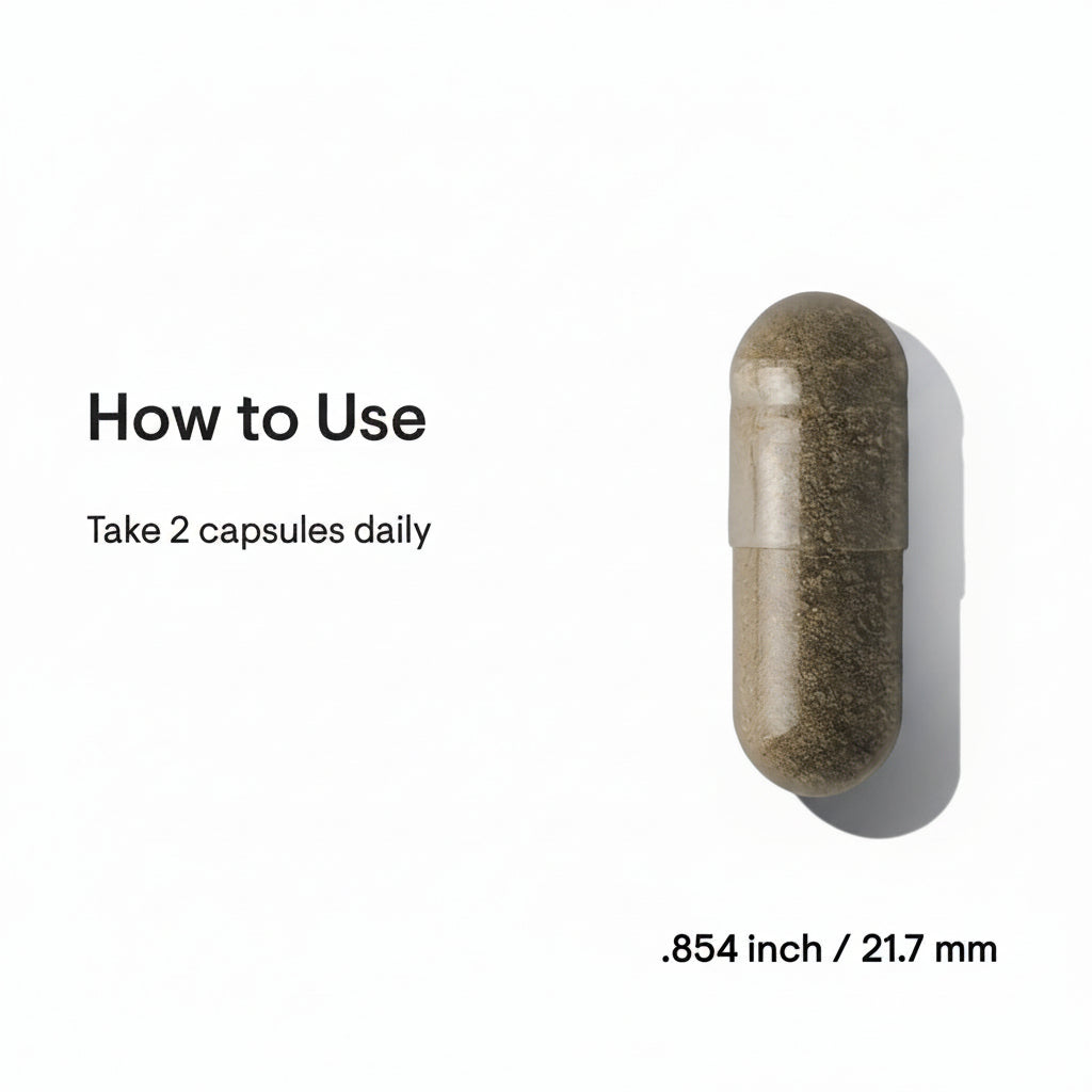 Capsule pill with measurement details on a white background