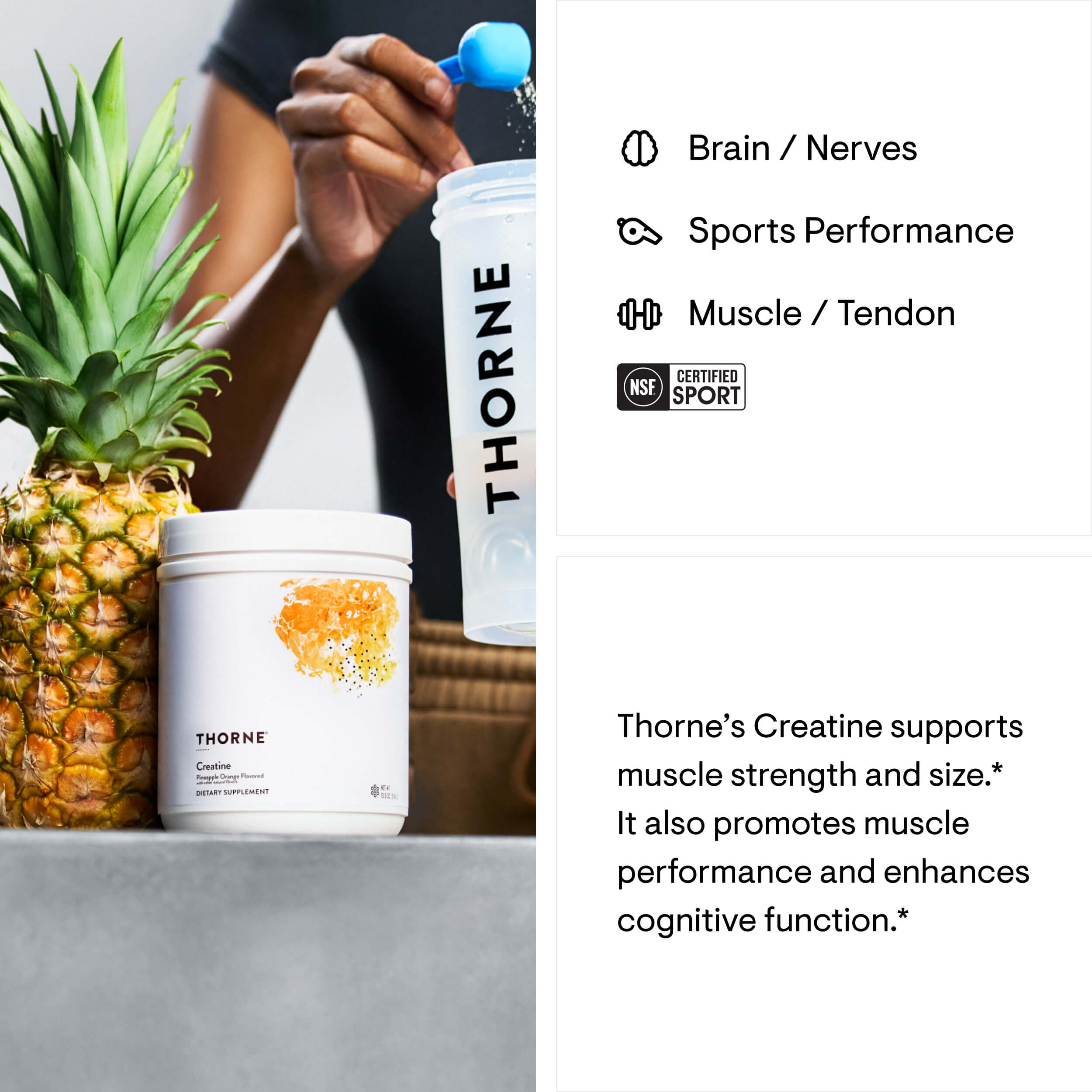 Thorne supplements with a pineapple on a gray surface, labeled for brain, sports performance, and muscle support.