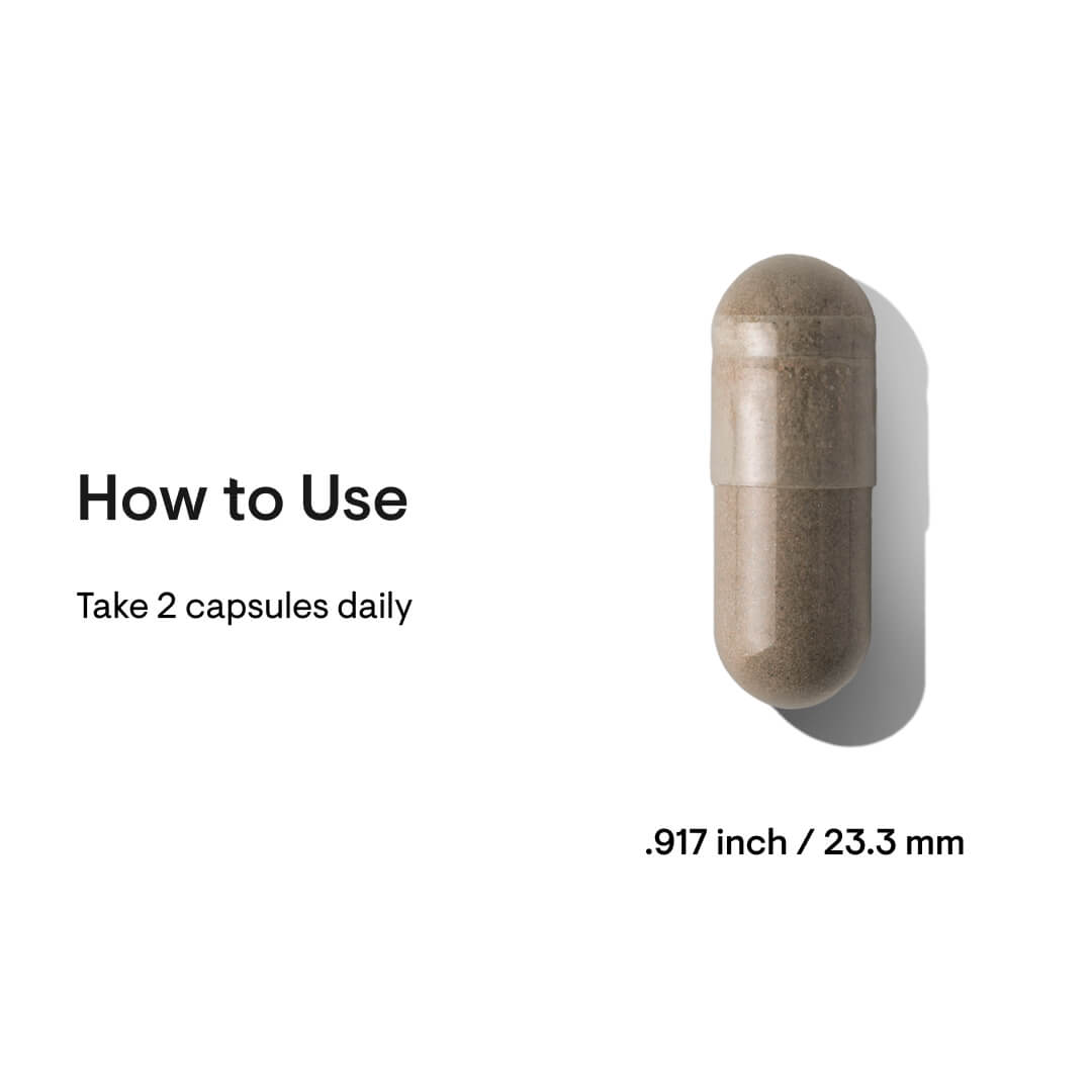 Brown capsule pill with measurement details on a white background
