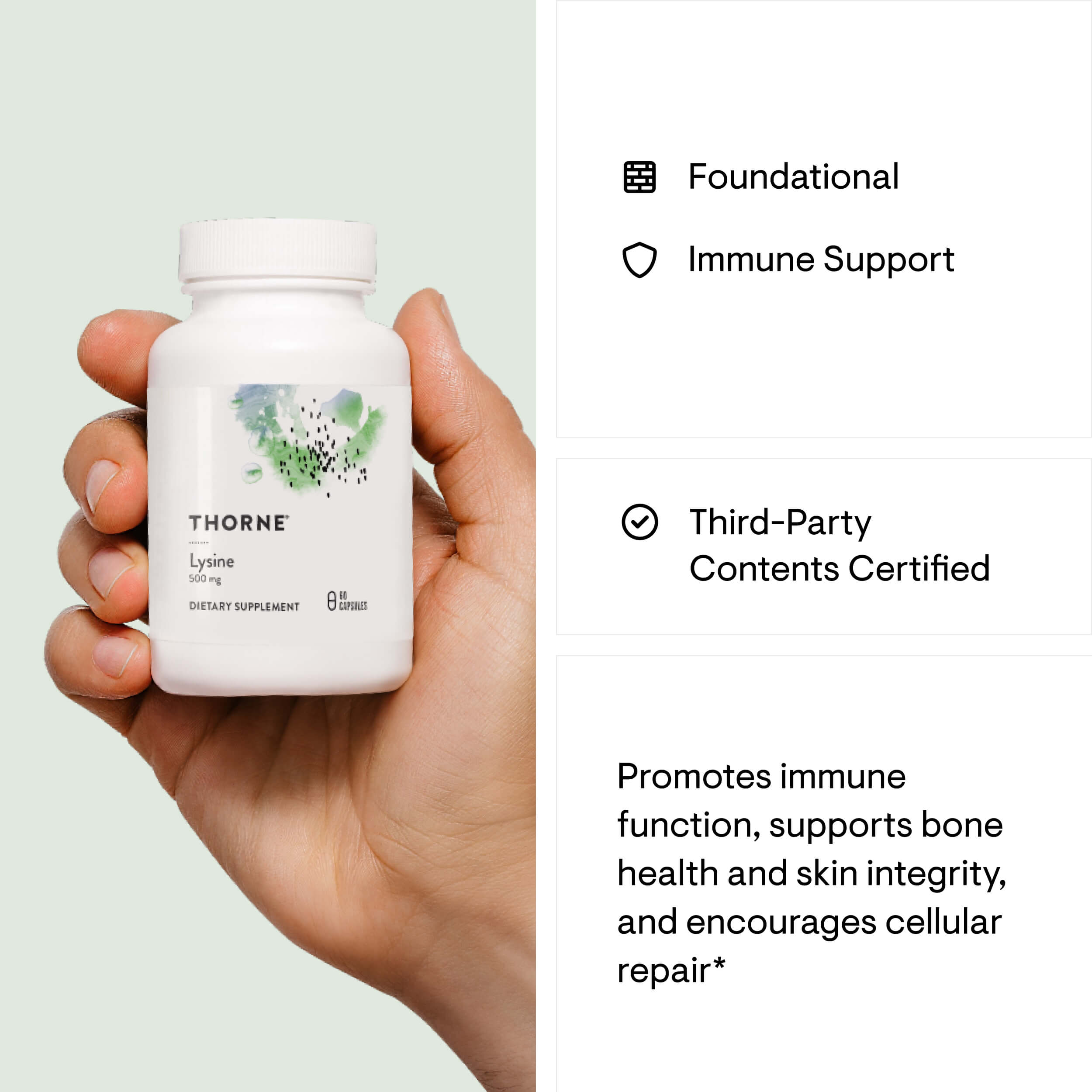 Hand holding a Thorne supplement bottle with product details on a light green background