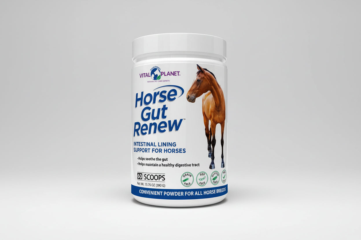 Vital Planet Horse Gut Renew supplement container with a horse illustration on a white background
