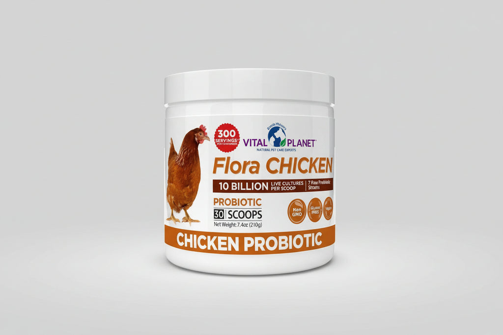 Vital Planet Flora Chicken probiotic supplement container with a chicken illustration on a white background