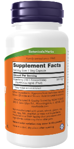 NOW Foods Elderberry 500 mg 60 Veg Capsules