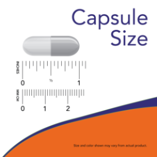 NOW Foods Psyllium Husk 700 mg 180 Veg Capsules