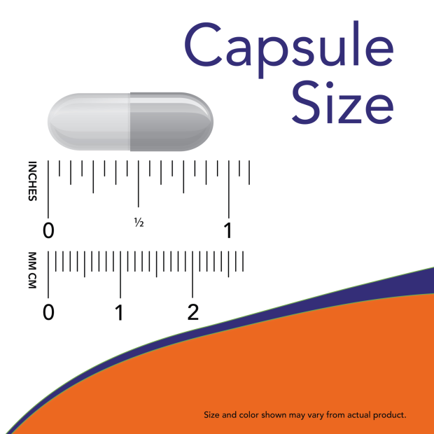 NOW Foods Phase 2 White Kidney Bean Extract 500 mg 120 Veg Capsules