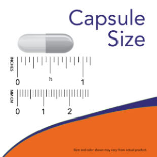NOW Foods Milk Thistle 300 mg 100 Veg Capsules