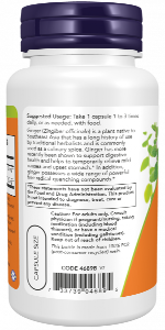NOW Foods Ginger Root Extract 250 mg 90 VCaps