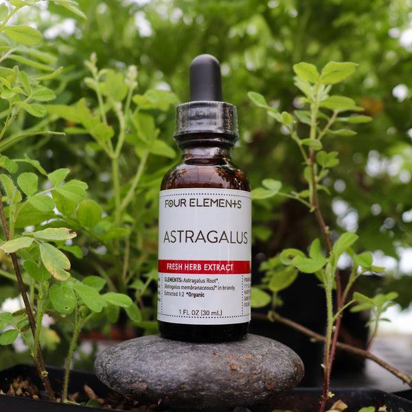 Four Elements Astragalus Tincture - 1 oz