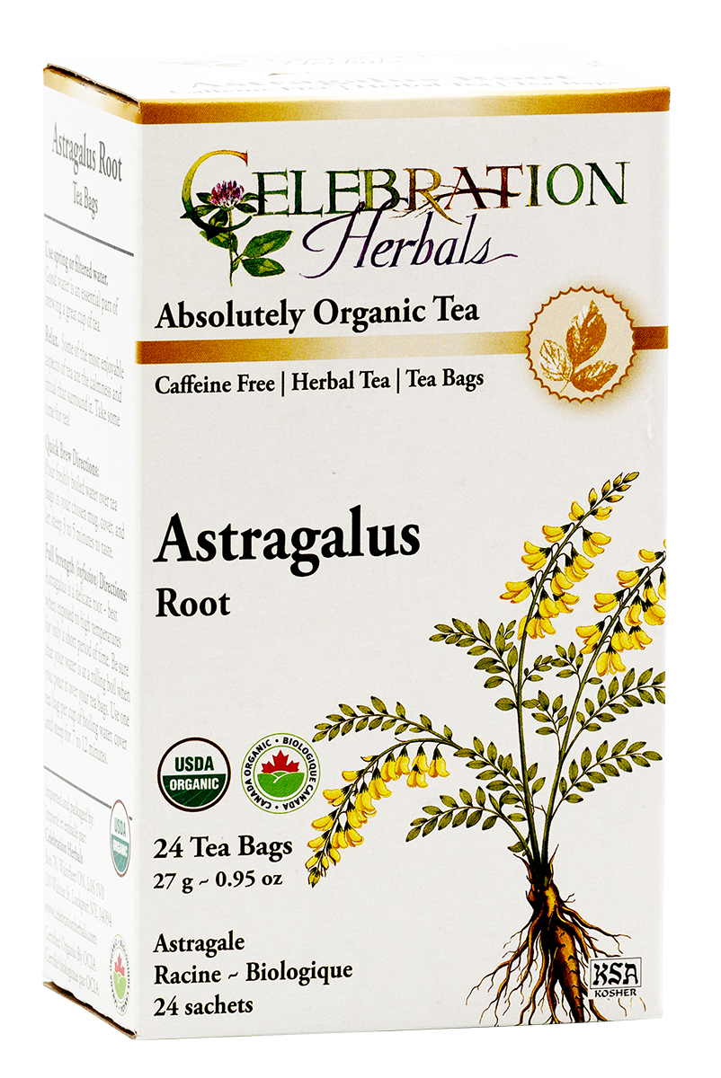Celebration Herbals Organic Astragalus Root Tea – 24 Tea Bags