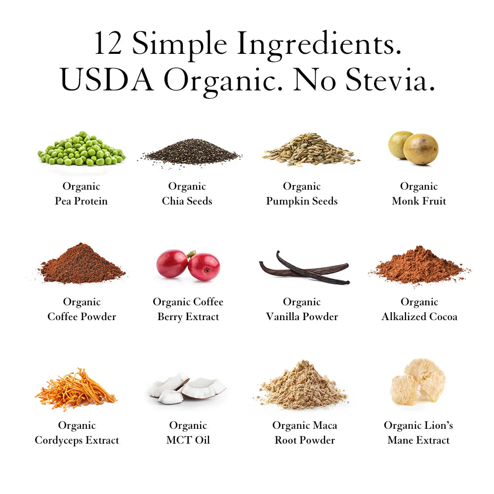 Truvani Chocolate Peanut Butter Plant Protein 10ct Box