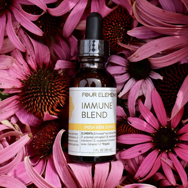 Four Elements Immune Blend Tincture - 1 oz
