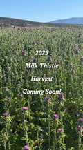 Oregon's Wild Harvest Milk Thistle 90 Capsules