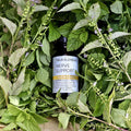 Four Elements Nerve Support Tincture Blend - 1 oz