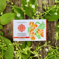 Four Elements Jewelweed Chickweed Soap - 3.6 oz