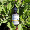 Four Elements Adapt! Tincture Blend - 1 oz