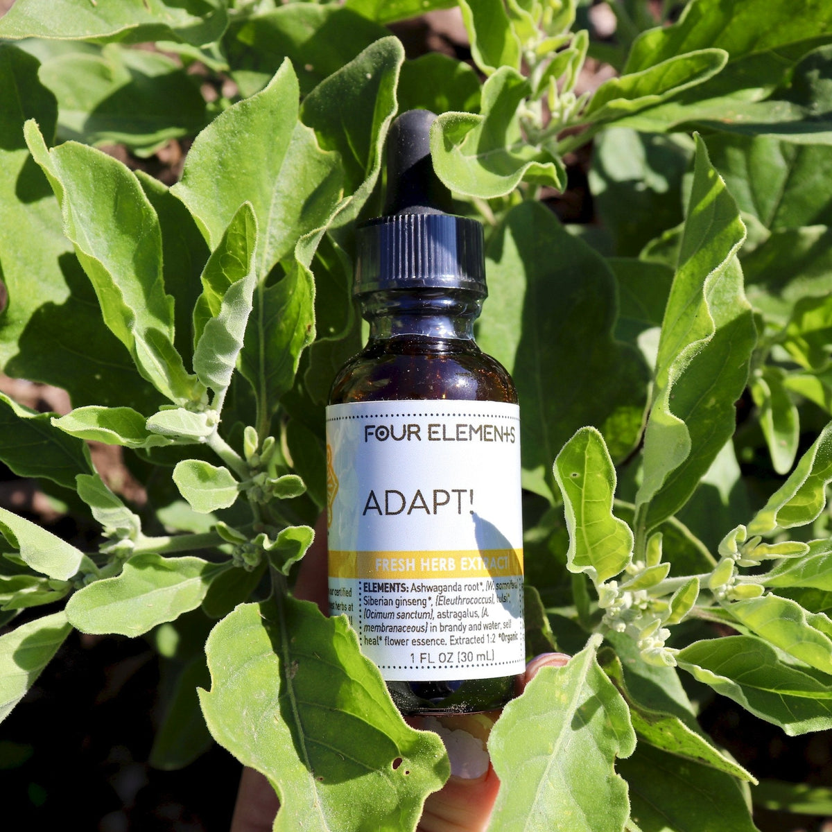 Four Elements Adapt! Tincture Blend - 1 oz