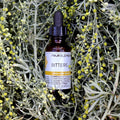 Four Elements Bitters Tincture Blend - 1 oz