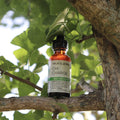 Four Elements Chi Charge Tincture Blend - 1 oz