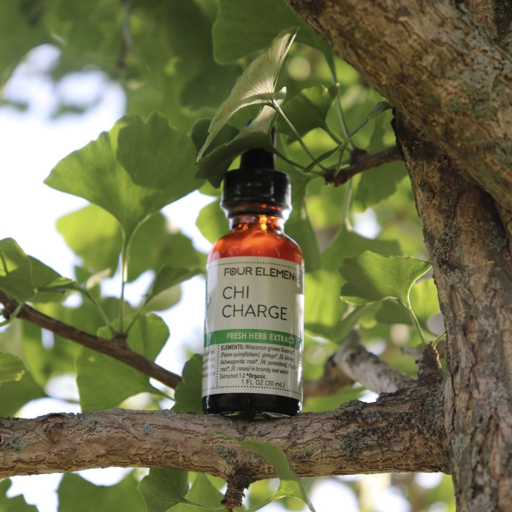 Four Elements Chi Charge Tincture Blend - 1 oz