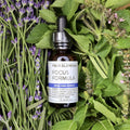 Four Elements Focus Formula Tincture Blend - 1 oz