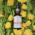 Four Elements Liver Kidney Tincture Blend - 1 oz