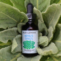 Four Elements Minus Sinus Tincture Blend - 1 oz