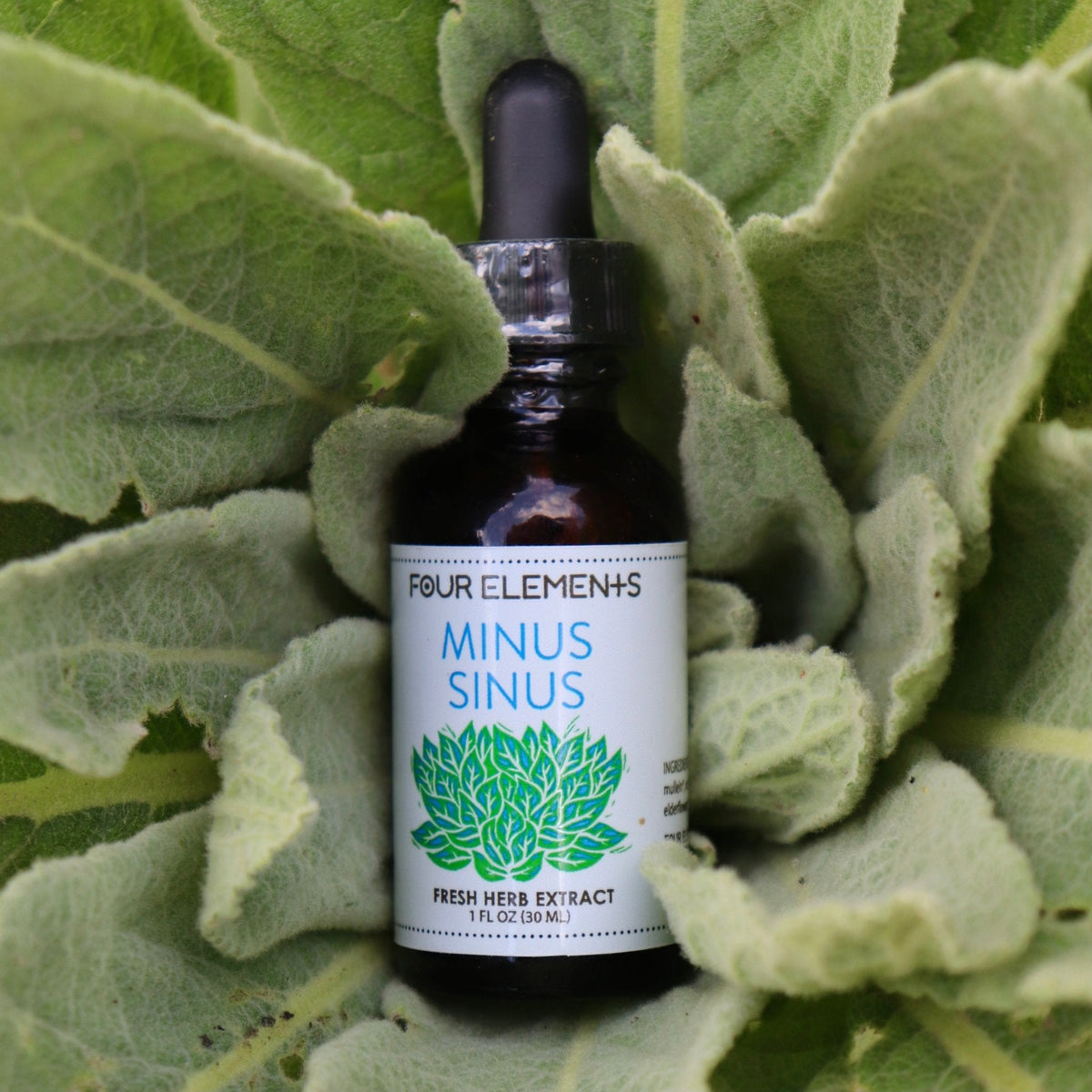 Four Elements Minus Sinus Tincture Blend - 1 oz