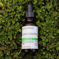 Four Elements Andrographis Tincture - 1 oz