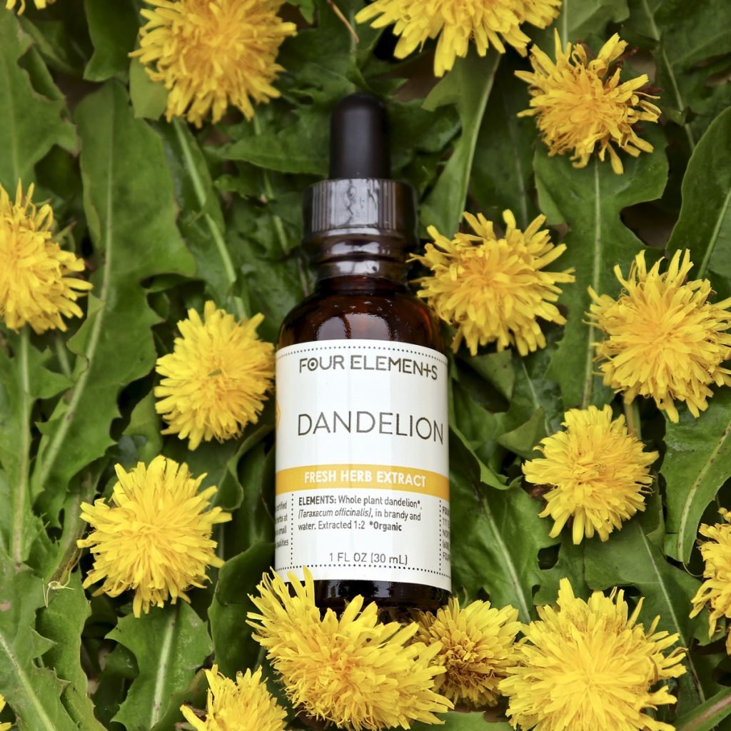 Four Elements Dandelion Tincture - 1 oz