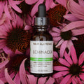 Four Elements Echinacea Tincture - 1 oz