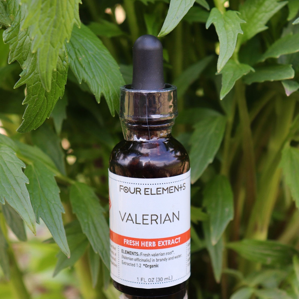Four Elements Valerian Herb Tincture - 1 oz