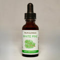 Four Elements White Pine Tincture - 1 oz